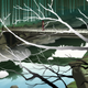 Image for article titled Bakemonogatari is an Amazingly Well-Directed Anime
